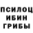 Псилоцибиновые грибы MAGIC MUSHROOMS Section 2