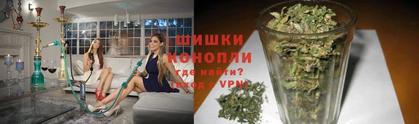 шишки Балахна
