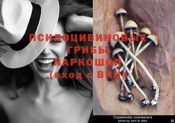 шишки Балахна