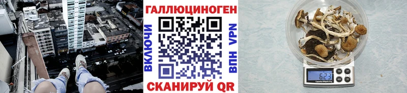 Галлюциногенные грибы Psilocybine cubensis  Шацк 